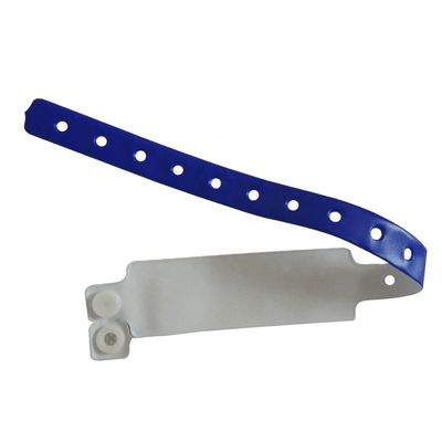 Jubiläums-Anlass Zwölf Zodiacs Design Armband mit individueller Inlay-Technologie