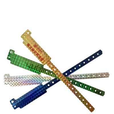 2023 Holographischer ID-Armband Ausstellung und Konzert Eintritt Glitter Armbänder